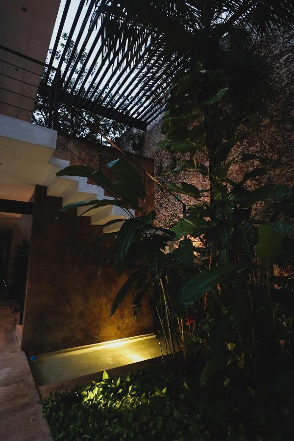 コークス カサ デ ラス パロマス ブティック ホテル メリダ エクステリア 写真